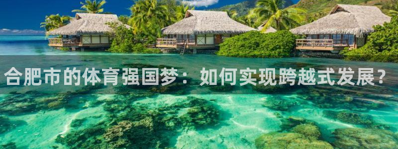 MK体育官方正版app五金厂：合肥市的体育强国梦：如