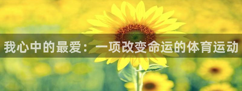 MK体育官网下载平台注册要钱吗是真的吗：我心中的最爱