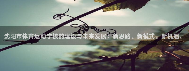 MK体育官方正版app神州：沈阳市体育运动学校的建设