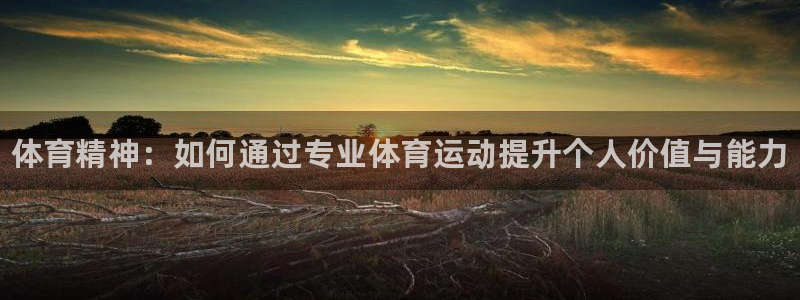 MK体育官网下载软件：体育精神：如何通过专业体育运动