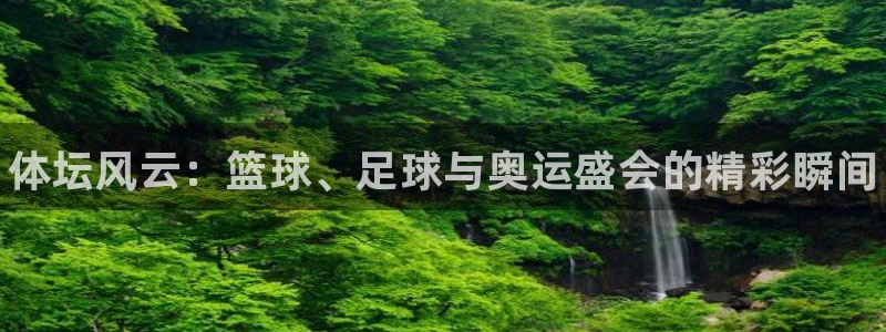 MK体育官方正版app集团E.ON：体坛风云：篮球、