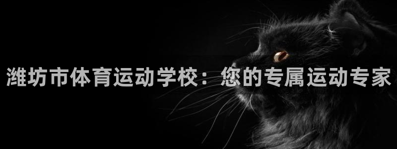 MK体育官网下载开户：潍坊市体育运动学校：您的专属运