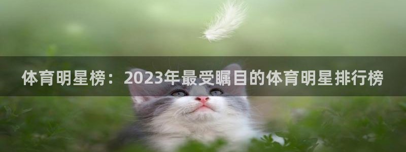 MK体育官方正版app娱乐：体育明星榜：2023年最