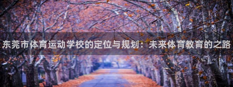 MK体育官网下载注册：东莞市体育运动学校的定位与规划