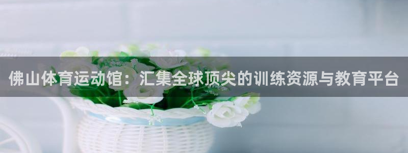 注册MK体育官方正版app：佛山体育运动馆：汇集全球