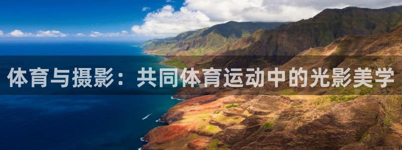 MK体育官方正版app集团E.ON：体育与摄影：共同