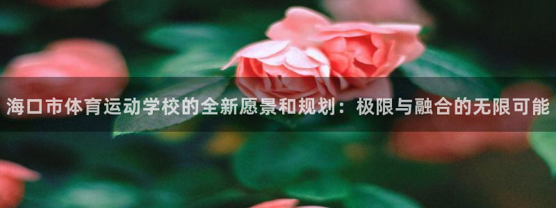 MK体育官网下载软件：海口市体育运动学校的全新愿景和规划：极