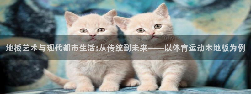 海南MK体育官网下载发展怎么样：地板艺术与现代都市生活:从传