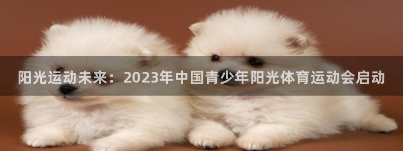 MK体育官方正版app开户:阳光运动未来:2023年中国青少