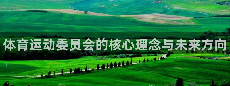 MK体育官网下载是干嘛的公司：体育运动委员会的核心理