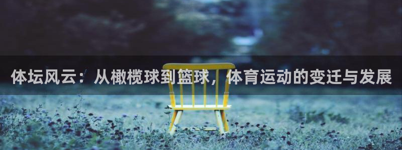 MK体育官方正版app开户：体坛风云：从橄榄球到篮球