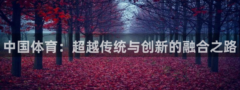 MK体育官方正版app娱乐40996：中国体育：超越传统与创