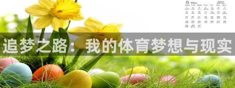 MK体育官网下载开户：追梦之路：我的体育梦想与现实