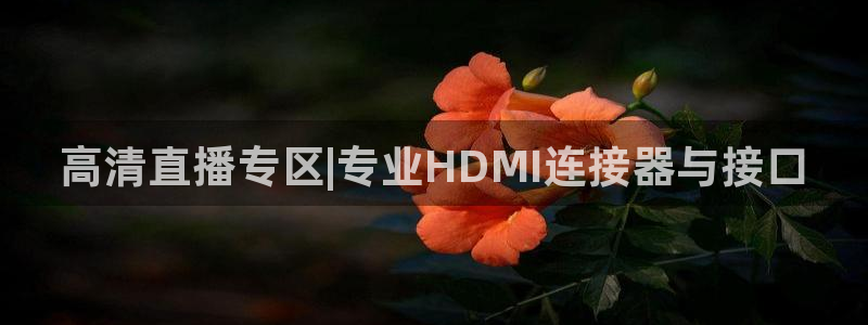 360足球直播无插件高清：高清直播专区|专业HDMI连接器与接口