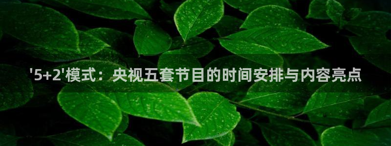 雨燕直播360高清直播足球：\'5+2\'模式：央视五套节目的时间安排与内容亮点