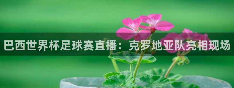 360雨燕直播篮球：巴西世界杯足球赛直播：克罗地亚队亮相现场