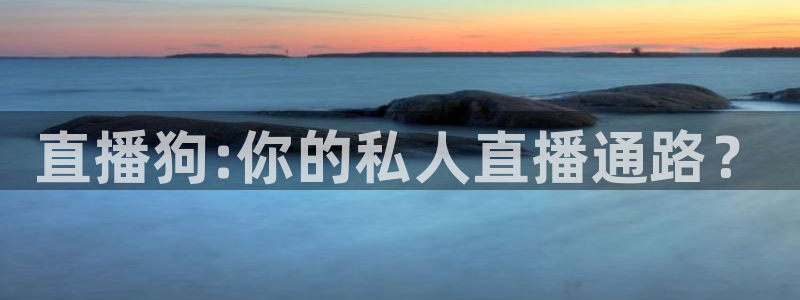 360足球比赛直播雨燕：直播狗:你的私人直播通路？