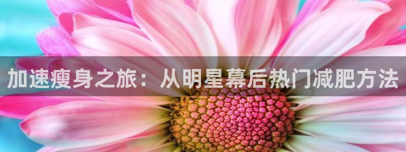 雨燕360体育直播大厅购彩.最新的页面.top：加速瘦身之旅：从明星幕后热门减肥方法
