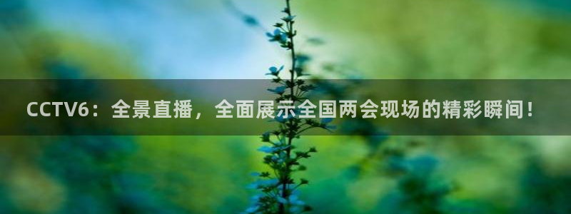 360直播足球网直播nba低调看jrs：CCTV6：全景直播，全面展示全国两会现场的精彩瞬间！
