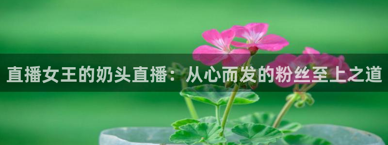 山猫体育360直播在线观看：直播女王的奶头直播：从心而发的粉丝至上之道