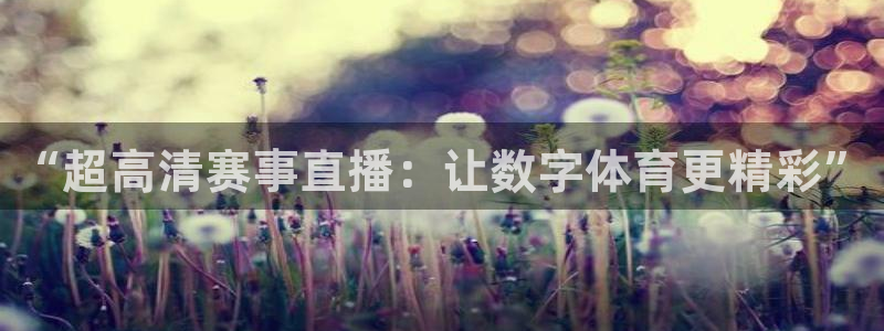 nba直播免费360高清：“超高清赛事直播：让数字体育更精彩”