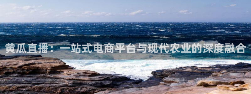 360篮球直播赛事