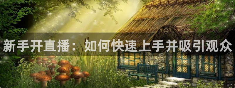360足球体育直播无插件高清：新手开直播：如何快速上手并吸引观众